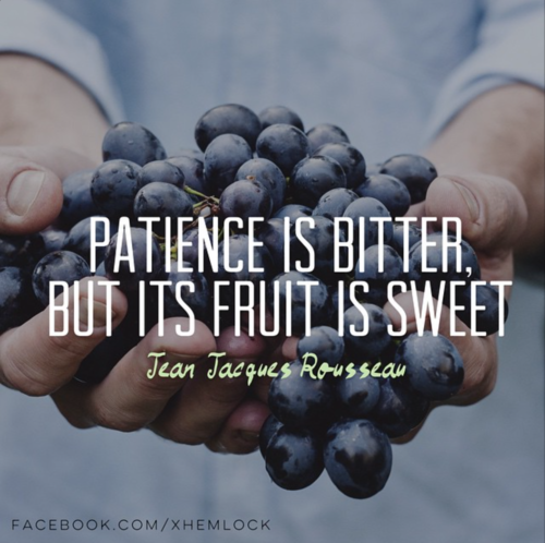 patience-is-bitter